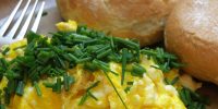 Raňajky z vajec: nápady pre chutný a výživný začiatok dňa